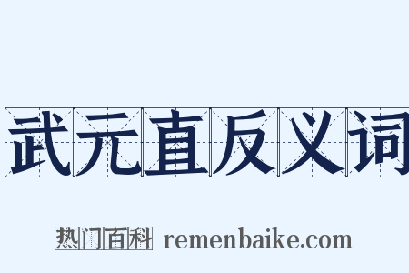 武元直反义词是什么意思的图片